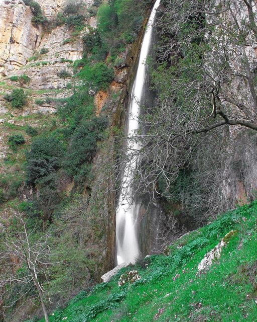 🇱🇧 (`Akkar Al `Atiqah, Liban-Nord, Lebanon)