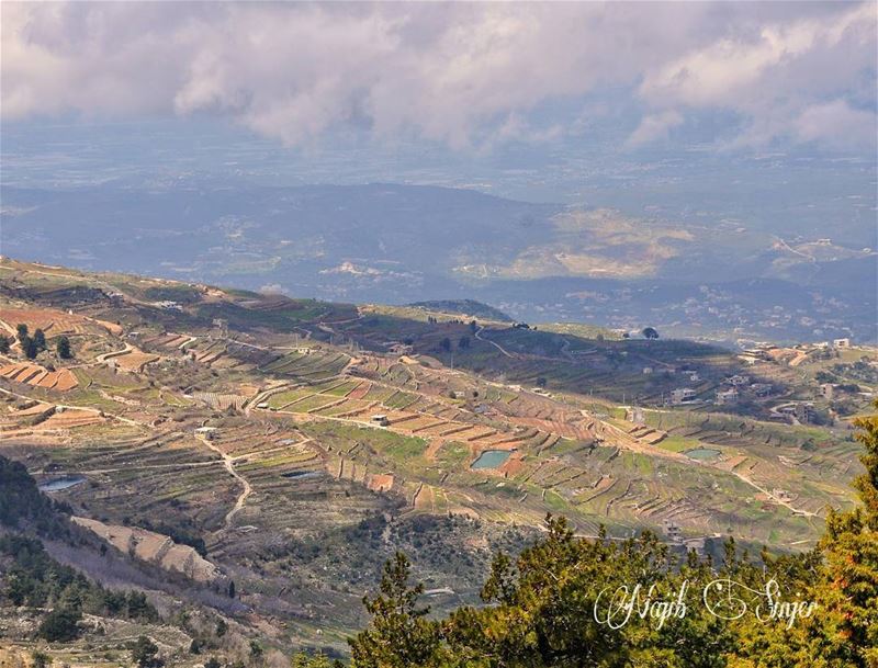  akkar  hiking  hikingadventures  hike  scout  scouting  nature ... (`Akkar, Liban-Nord, Lebanon)