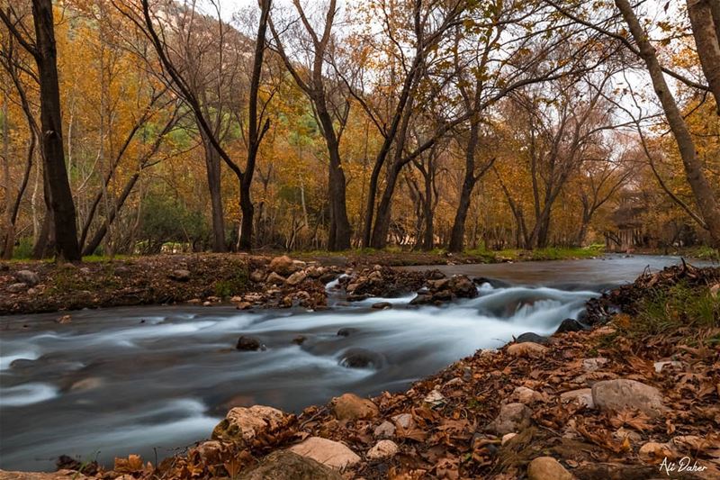 Akkar's heaven 🍁🍁.... waterfall lake river paradise watershot... (North Governorate)