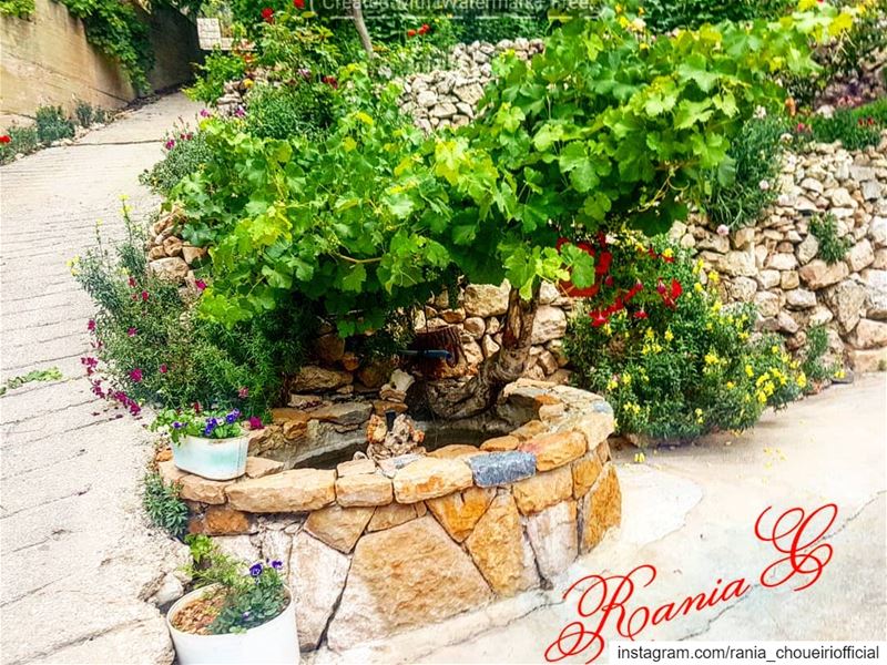 ... (Akoura, Mont-Liban, Lebanon)