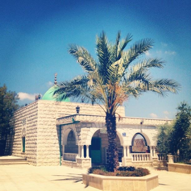 Al 5ader (A.S) @yousraelreda