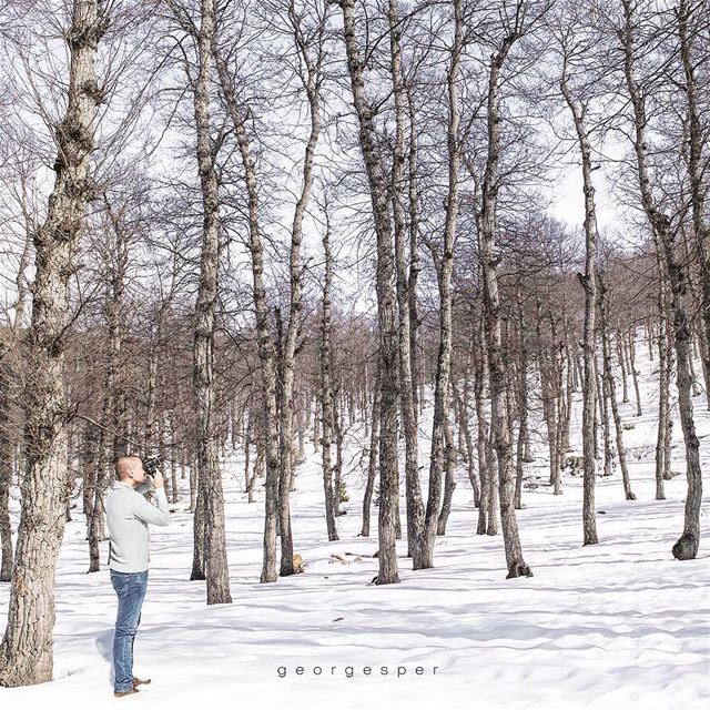 "Al Azer" Forest, Lebanon 🇱🇧.... proudlylebanese  beautifullebanon ... (`Akkar, Liban-Nord, Lebanon)