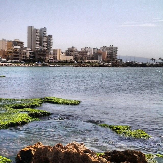 Al Mina, Tripoli seen from Abed El Wahab island. island  nature ...