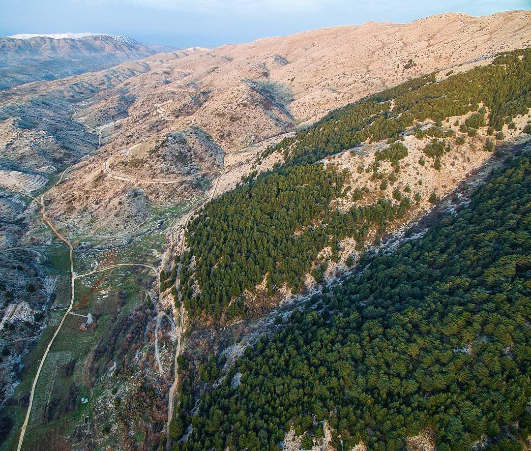 Al Shouf Cedar Nature Reserve, located on the slopes of Barouk mountain... (Arz el Bâroûk)
