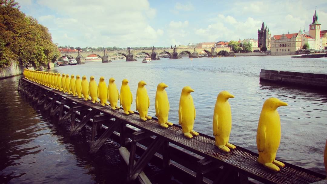  alaqueueleuleu  infinit  yellow  penguins 💛 art  saintcharlesbridge ... (Prague, Czech Republic)