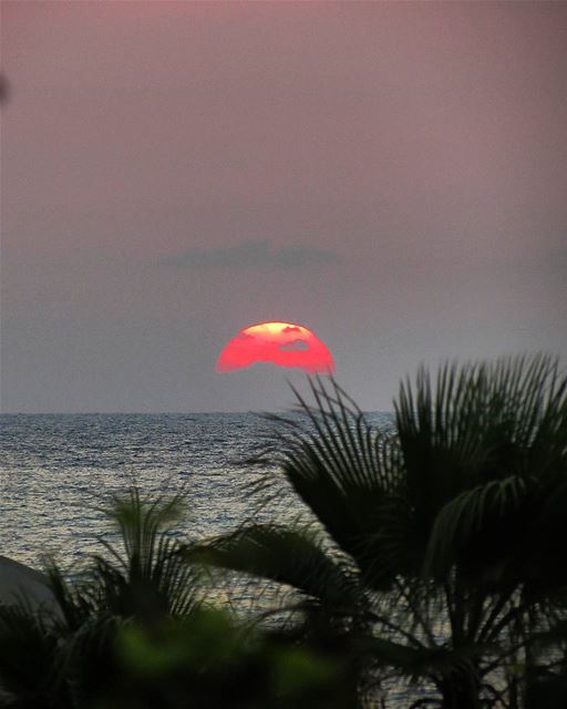 ... Alas, I am a lonely cloud,Imploring all up in the sky...And crying... (Beirut, Lebanon)