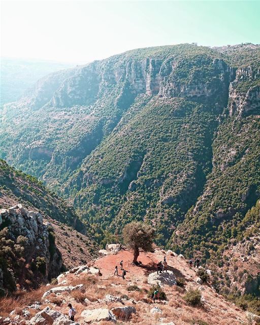 Alguns lugares são mágicos, mas poucos são como o Vale Santo (Kadisha... (Kadisha Valley)