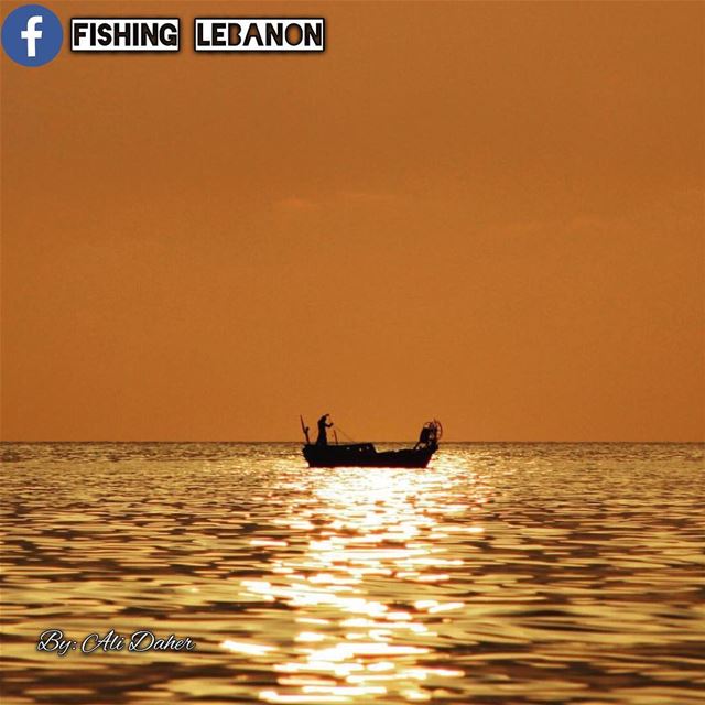Ali Daher  Beirut-Lebanon _________________________________ lebanon ... (Beirut, Lebanon)