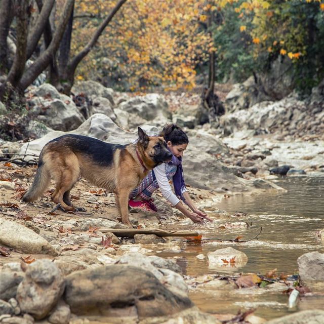 All good things are wild and free............ livelovebeirut ... (Daraya, Keserwan)