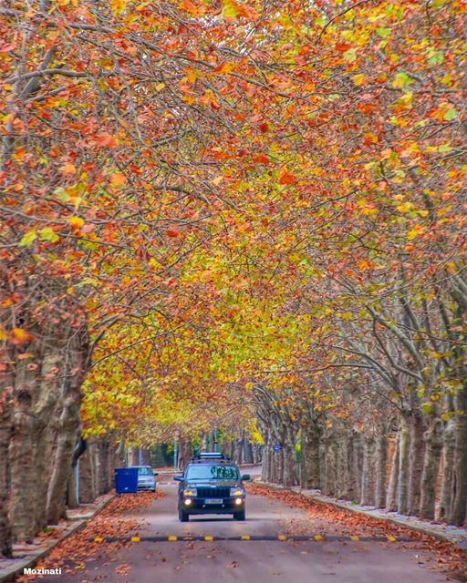 All roads lead to you.. 😊=======================================... (Sawfar, Mont-Liban, Lebanon)