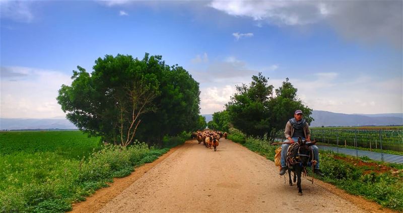 All roads leads to Ammiq 💙.......... naturephotography ... (`Ammiq, Béqaa, Lebanon)