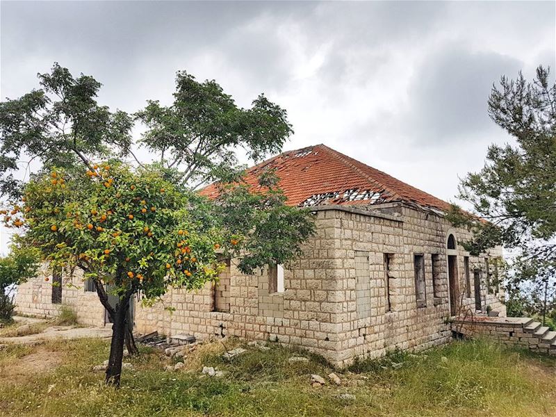 All that I can see is just an orange... (Gharfin, Mont-Liban, Lebanon)
