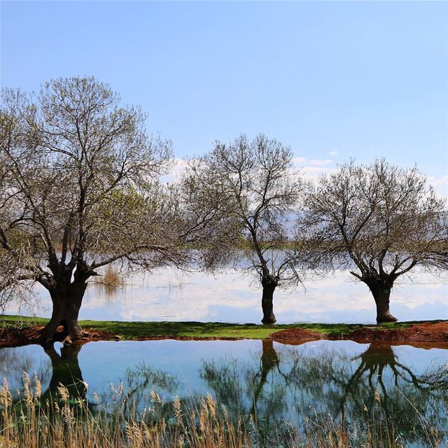 all the beauty of nature is made up of shadow. goodmorning ammiq... (`Ammiq, Béqaa, Lebanon)