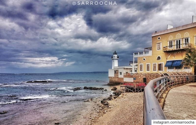 All the leaves are brown and the sky is grey ☁  takenbyme  ptk_Lebanon ... (Tyre, Lebanon)