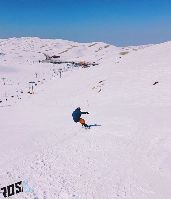 All the way to the parking lotttt 🚗. parkinglotviews  wedontdrive ... (Mzaar Kfardebian Ski Resort)