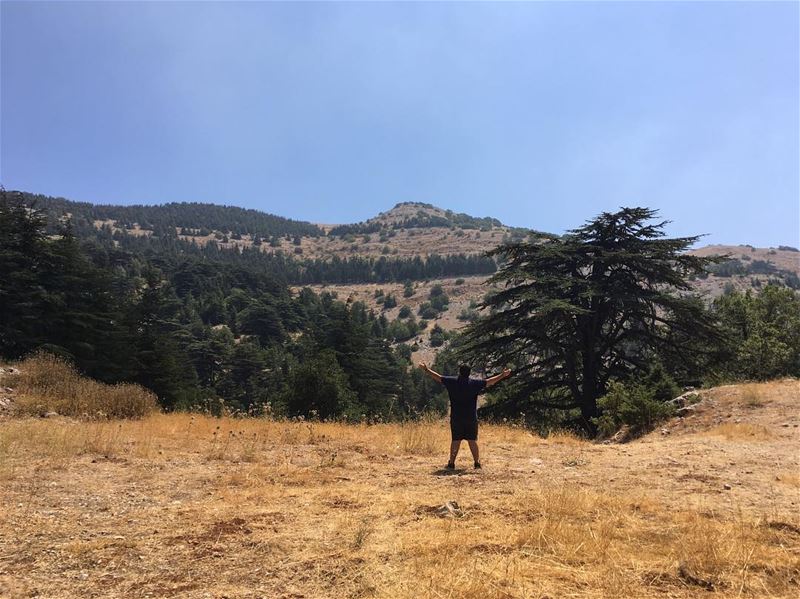 All the way UP 🤞🏻... (Al Shouf Cedar Nature Reserve)