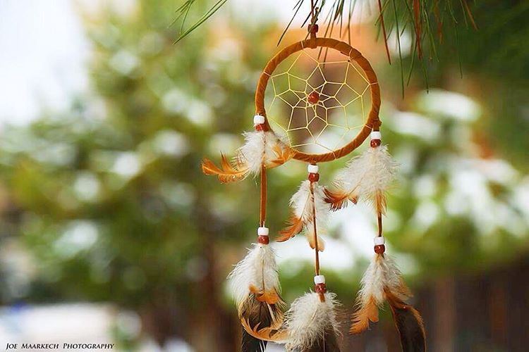 All things are bound together. All things connect...  dreamcatcher ...