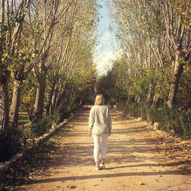 All we have to do is decide what to do with the time that is given to us... (Deïr Taanâyel, Béqaa, Lebanon)