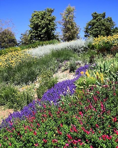 All you need is spring 🌸🌼🌺 a7labaladbil3alam  photo  love  photograph ... (Ixir Winery)