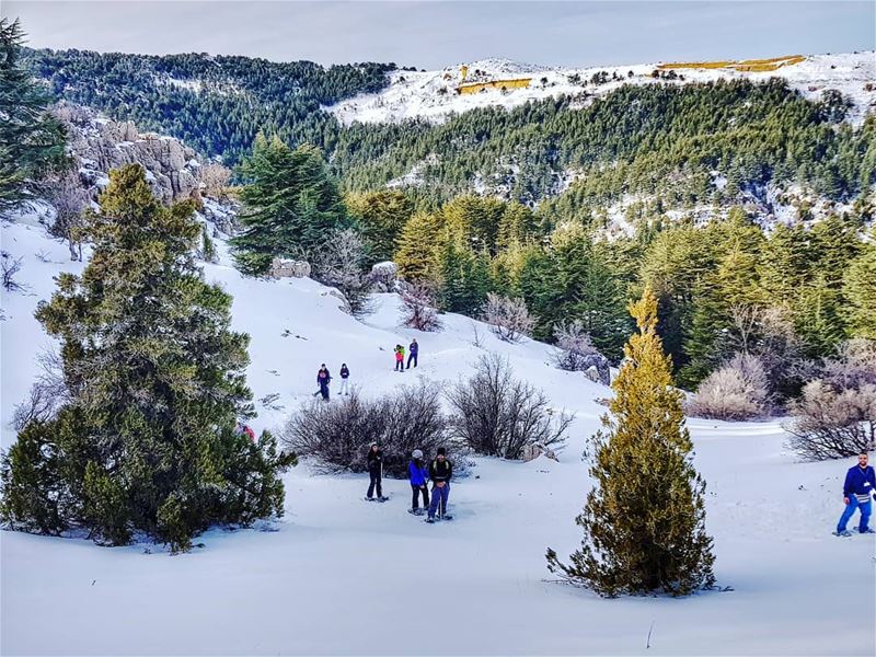 "Allow  nature's peace to flow into u as  sunshine flows into  trees "... (Lebanon)