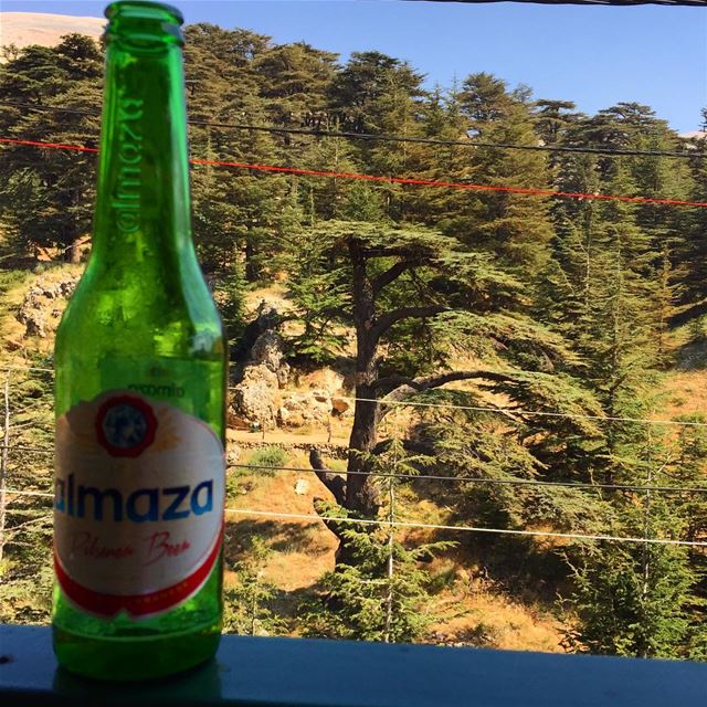 🍻 + 🌲= Alm'Arz  Bcharre  CedarofGod_______🇱🇧_______ almaza  lebanon... (Bcharré, Liban-Nord, Lebanon)