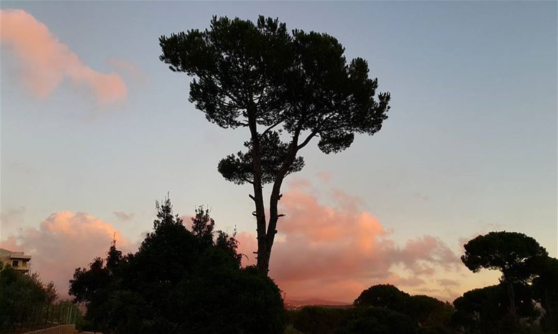 Alone! While the world disappears. . sunset  ptk_sky  silouette ... (Ed Douâr, Mont-Liban, Lebanon)