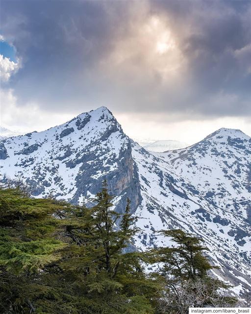 🇱🇧🇧🇷 Alpes libaneses pelas lentes do @alexander_photography97. ⠀⠀⠀⠀⠀⠀⠀⠀ (Arz Tannoûrîne)