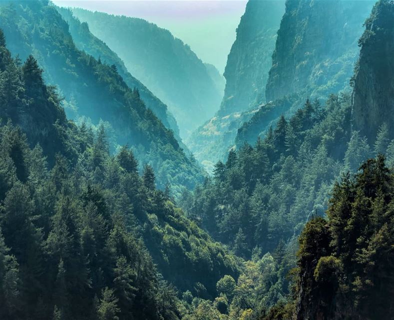 Alpine......  Lebanon  LiveloveLebanon  lebanese  nature  Mountains ... (Adonis Valley)