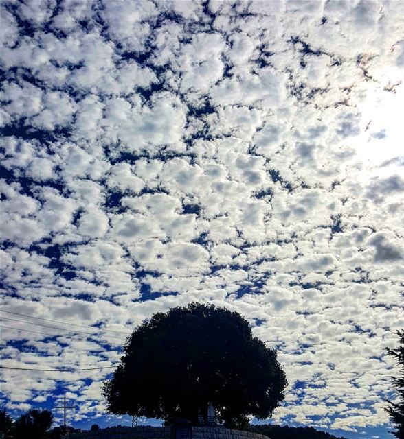 Altocumulus 🐑🐑🐑  goodmorning  meee2....... clouds  skyporn ...