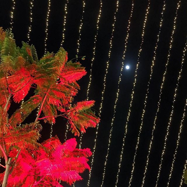 Always Aim for the Moon🌖 even if you miss. You will land among the stars💫 (Naccache)