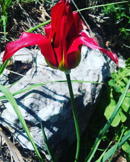 Always end your day with a positive thought! JabalMoussa  unesco ...