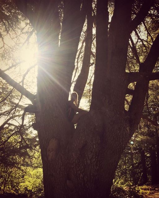 Always look a little closer ...sometimes the heart sees what's invisible... (Jezzîne, Al Janub, Lebanon)