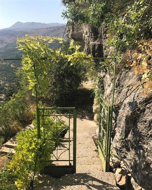 Always ready to take on new paths & opportunities!  Naturaldoor 🚪🌿 ... (Jroud Akoura)