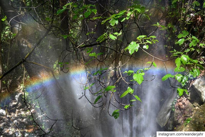 Always Seek for the best version of yourself!  rainbow  nature  greenery ... (Qartaba)