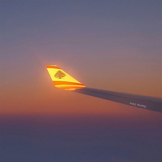 Always shining! 🛫🌟🇱🇧