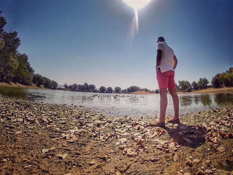 Always take the scenic route 🦆 ☀️ .... lebanon  lebanon_hdr  bekaa ... (Deïr Taanâyel, Béqaa, Lebanon)