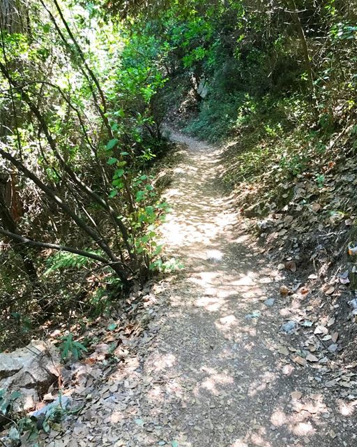 Amazing hiking experience ... 2.8 km to reach the river 💪🏻 (Chouwen)