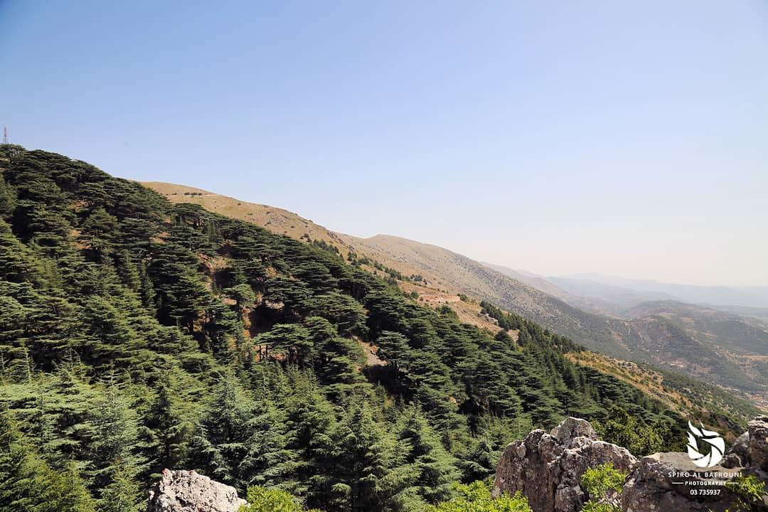 Amazing mountain view from Chouf !!!.......... (Al Shouf Cedar Nature Reserve)