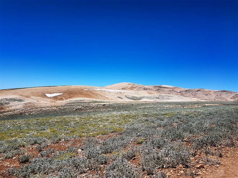 Amazing nature at the peak  amazing  landscape  landscapephotography ... (Qornet es Saouda (ås))