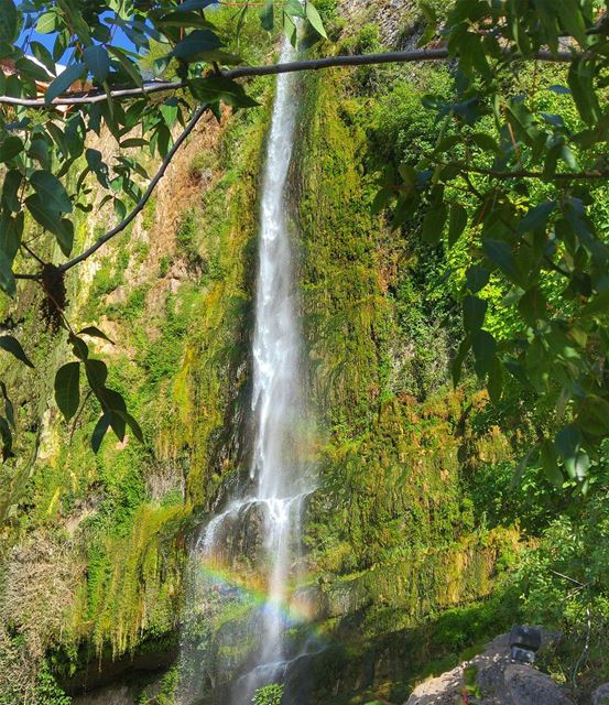 Amazing nature in Jezzine ❤ lebanon  nature  naturelovers  natureporn ... (Jezzîne, Al Janub, Lebanon)