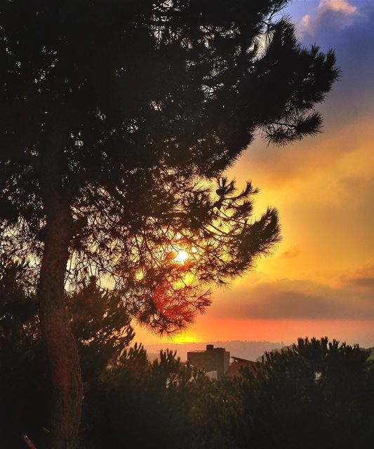 Amazing sunset 😍 lebanon  nature  naturelovers  natureporn  landscape ... (Brumana, Mont-Liban, Lebanon)
