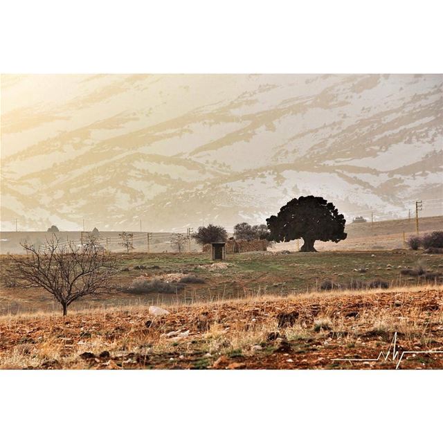 Amazing view by @bsn_lb hermel  hermel_city  jord_elhermel  bekaa ... (El Hermel, Béqaa, Lebanon)