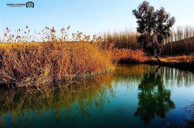 Amazing view from  Assi_river by @mahdichahine hermel  winter ... (Hermel Assi River)