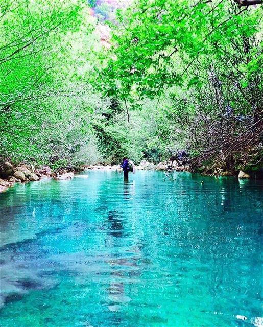 Amazing view from  bisri  janiub  southlebanon  south Photo by @reema_hdd... (Bisri, Al Janub, Lebanon)