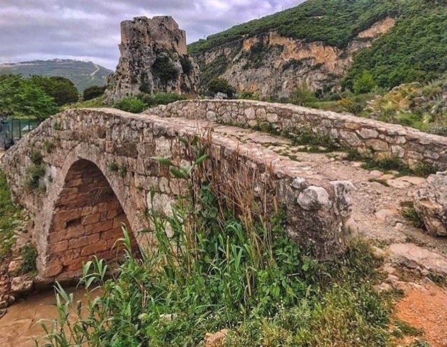 Amazing view from  chekkaPhoto by @sara_eldana Share the beauty of ... (Shikka, Liban-Nord, Lebanon)