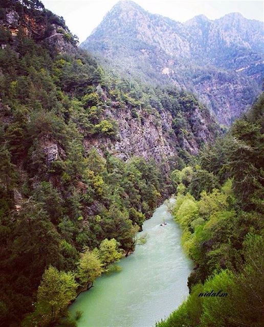 Amazing view from  chouen  chouwen  chowenphotography Photo by @nidal.majd (Chouène, Mont-Liban, Lebanon)