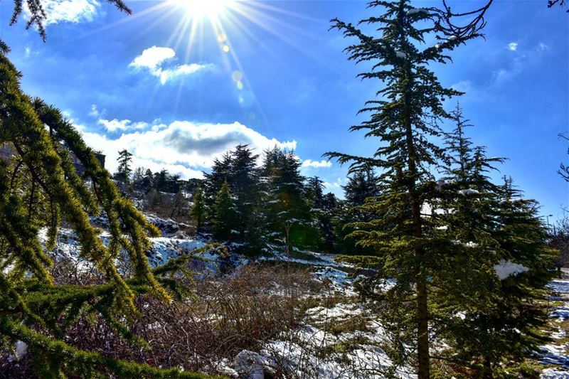 Amazing weather  sawfar  mountlebanon  lebanon  lebanon🇱🇧  photo ... (Sawfar, Mont-Liban, Lebanon)