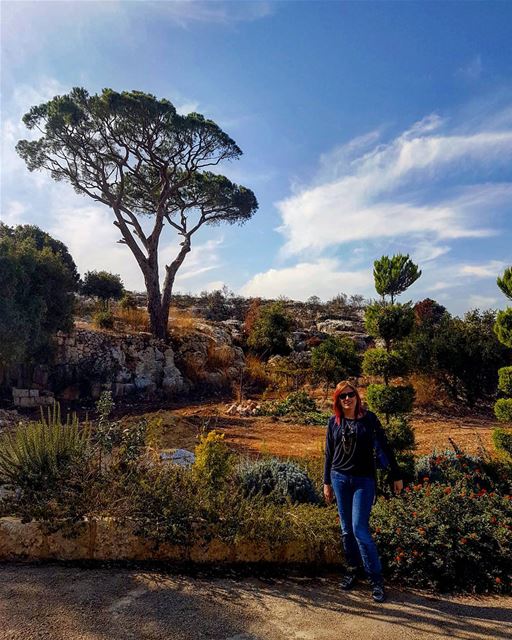  amazingnature  greens  bluesky  trees  pine  wonderfulday  blessedplace ... (Koura)