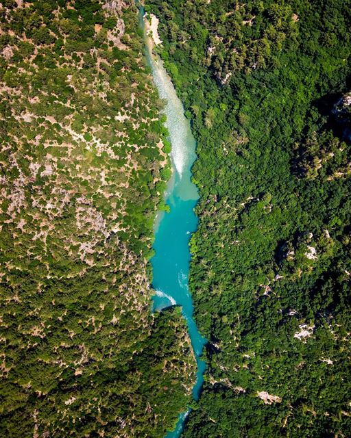 Amazon? No this is Chouwen in Lebanon 🇱🇧 LiveLoveLebanon ❤️... (Chouwen)