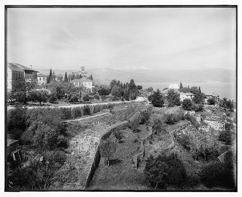 American University of Beirut  1914 